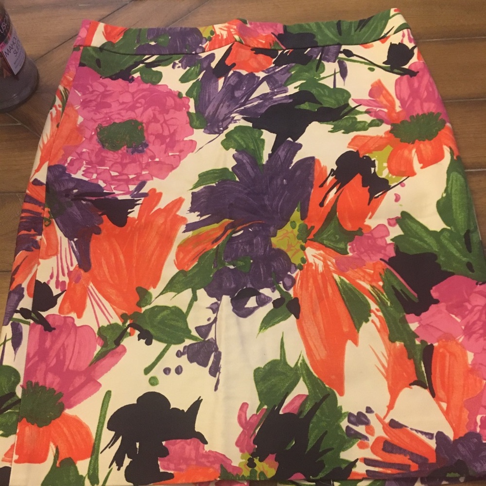 J. Crew Skirt